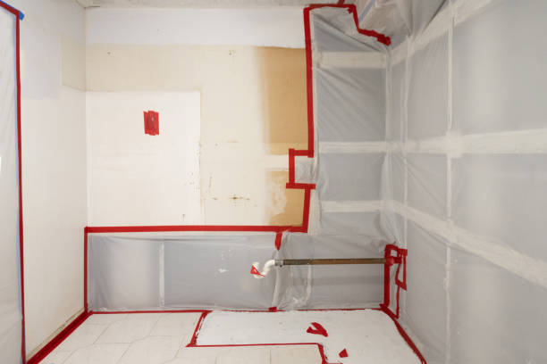 Best Attic Mold Removal  in Santee, CA