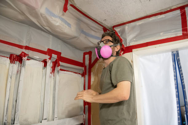 Best Mold Prevention Services  in Santee, CA